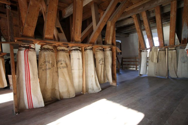 Látványőrlés a malomban 