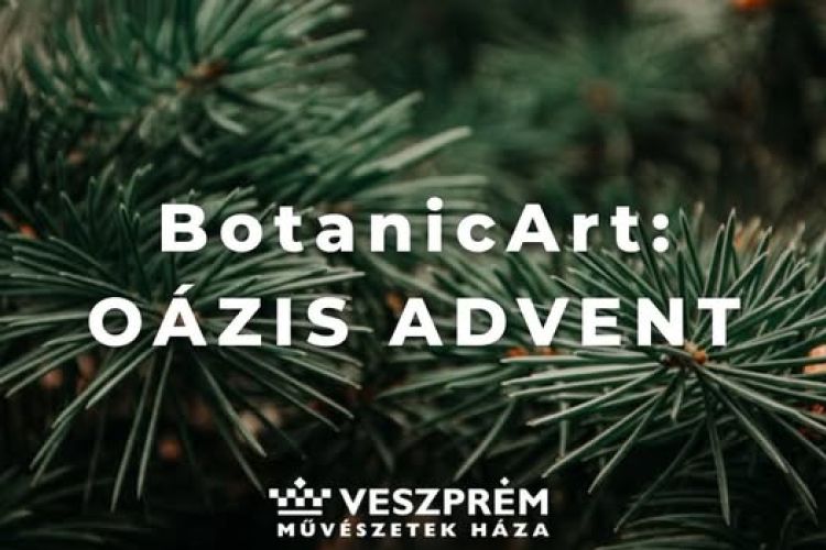 BotanicArt: Oázis / Advent