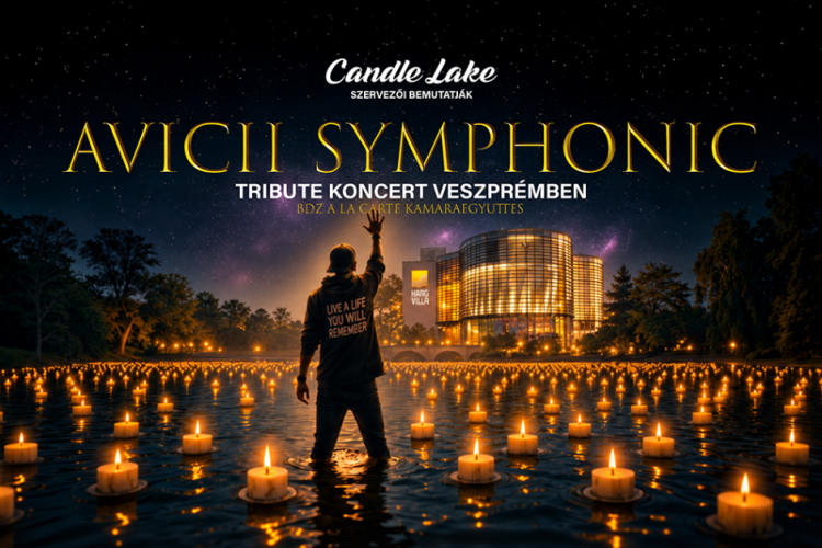 AVICII SYMPHONIC Tribute Concert