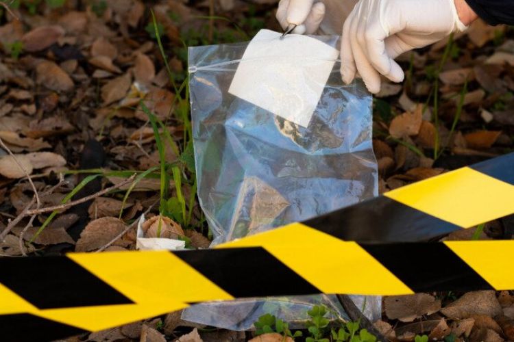 Hátborzongató bűnesetek