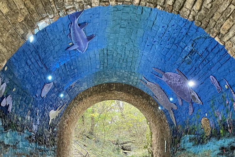 A víz az úr - Víziközmű Múzeum látogatással