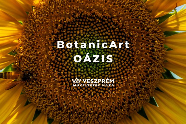 BotanicArt - Oázis/ Április 29.