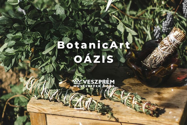 BotanicArt: Oázis / Május