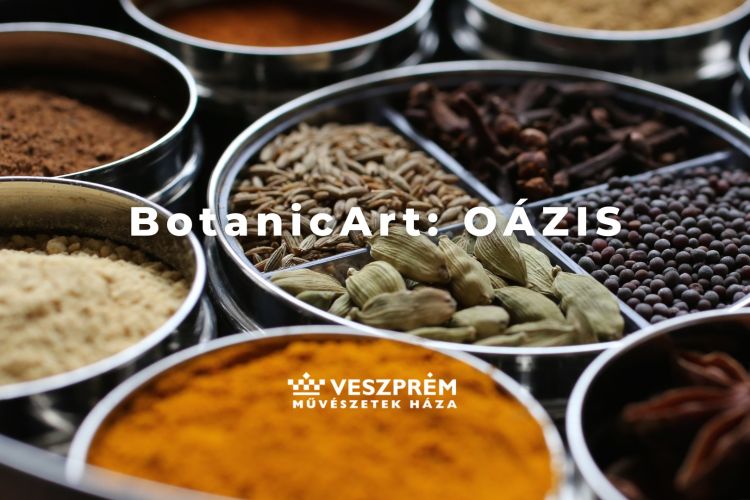 BotanicArt: Oázis / Január