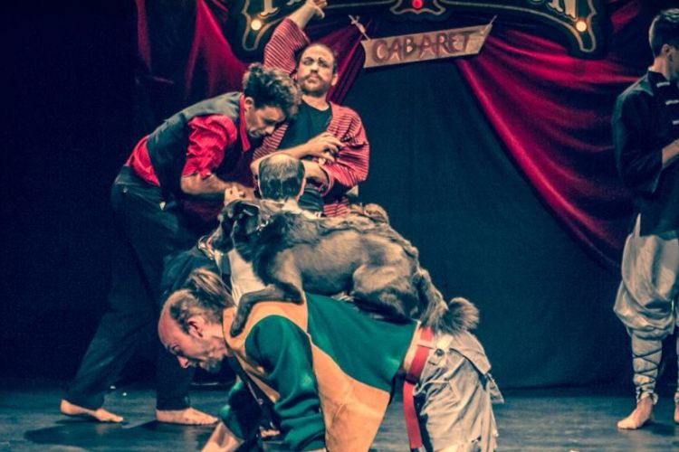 Tűzmadarak // 10. Színházi Olimpia