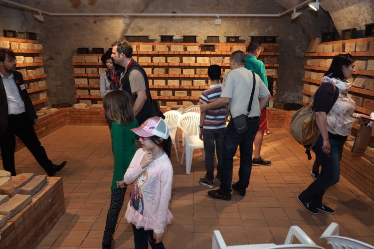 Tárlatvezetés a Tegulariumban