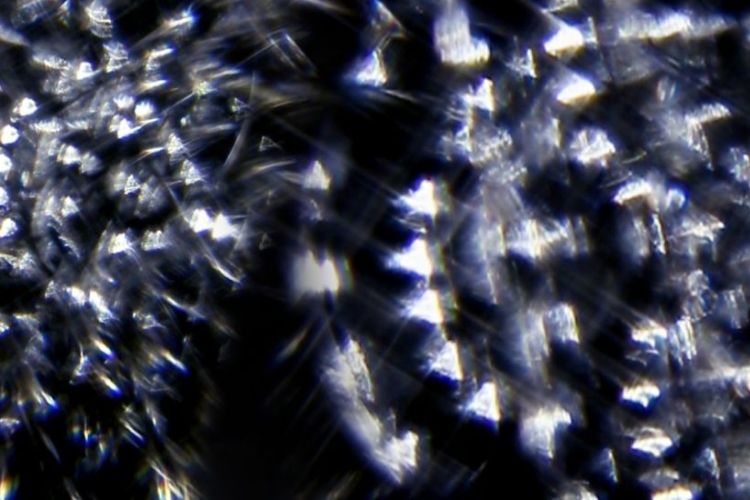 Karácsonyi szférák – gregorián dallamok