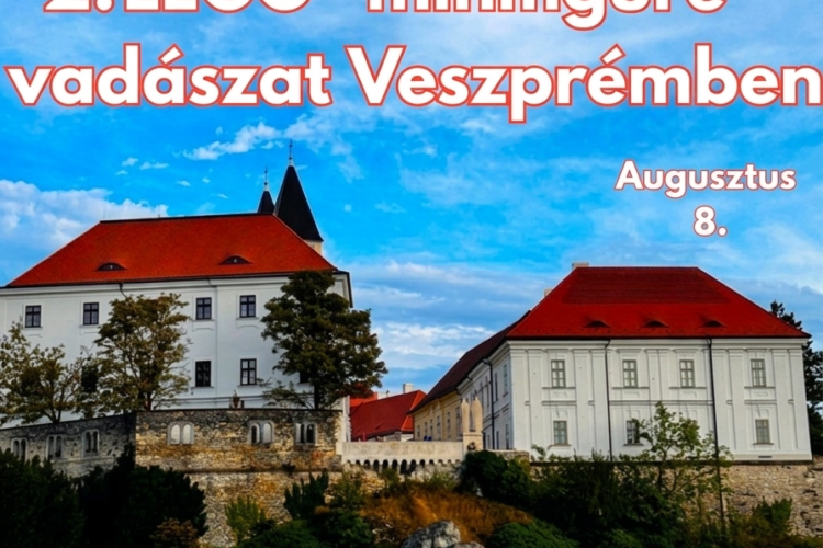 Újra LEGO-lázban Veszprém: jön a 2. minifigura vadászat!