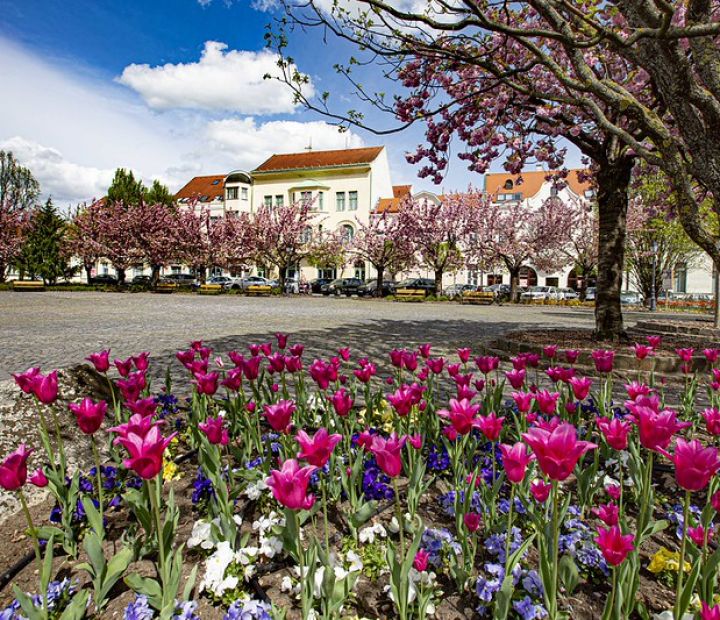 Óváros & Belváros