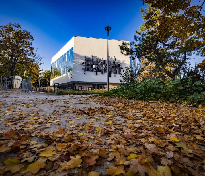 Museen &amp; Galerien