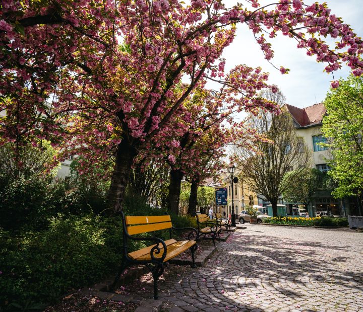 Altstadtplatz &amp; Innenstadt