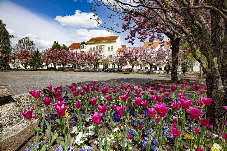 Óváros & Belváros