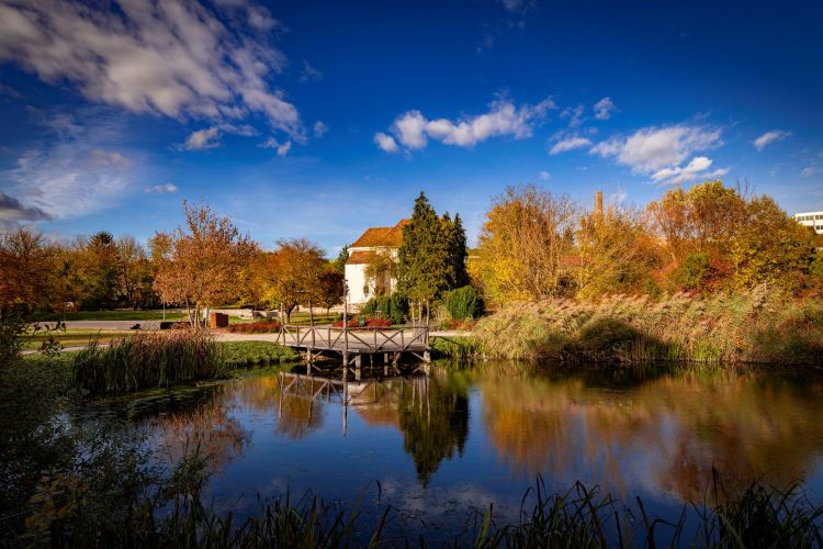Cloisters and Gardens