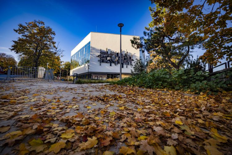 Múzeumok & Galériák