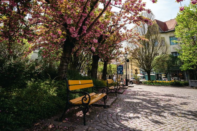 Óváros &amp; Belváros