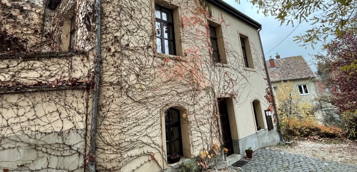 Vadszőlő Pension