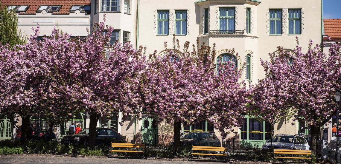 Altstadtplatz / Rákóczi Straße