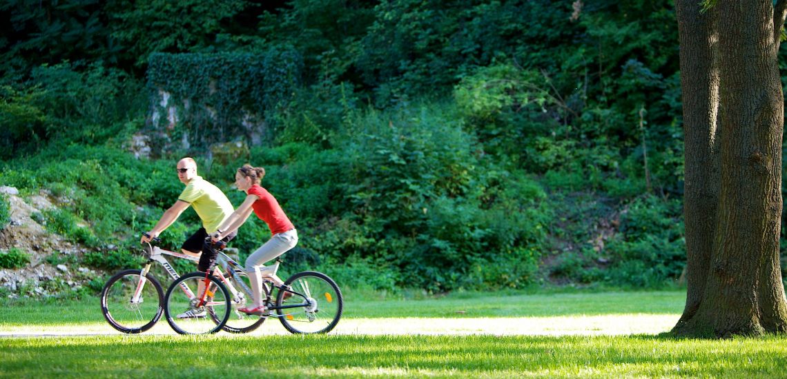 Fahrradweg / Nordic walking