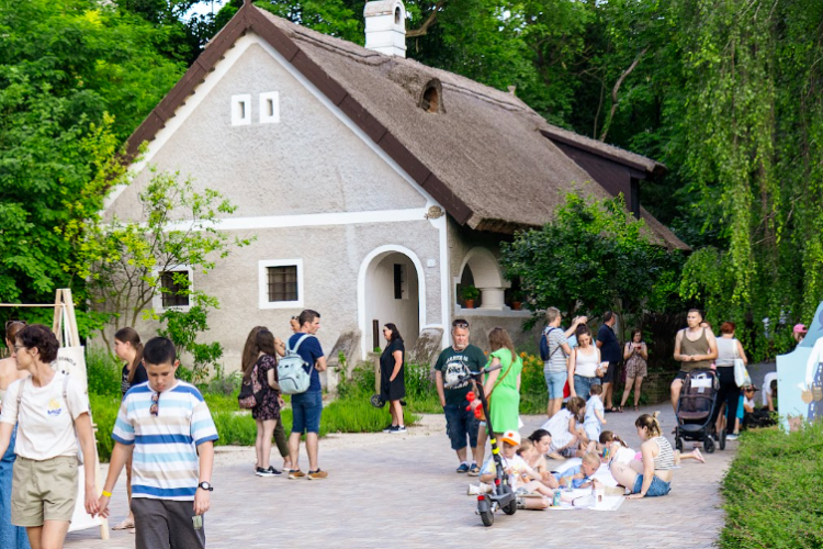 Bakonyi Ház