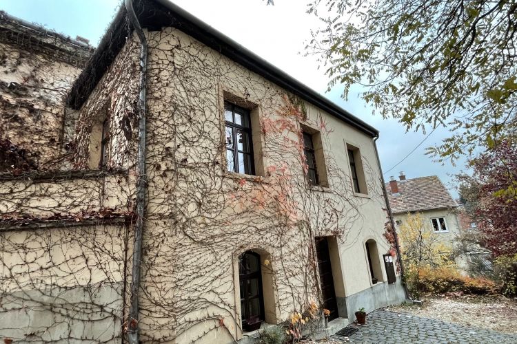 Vadszőlő Vendégház