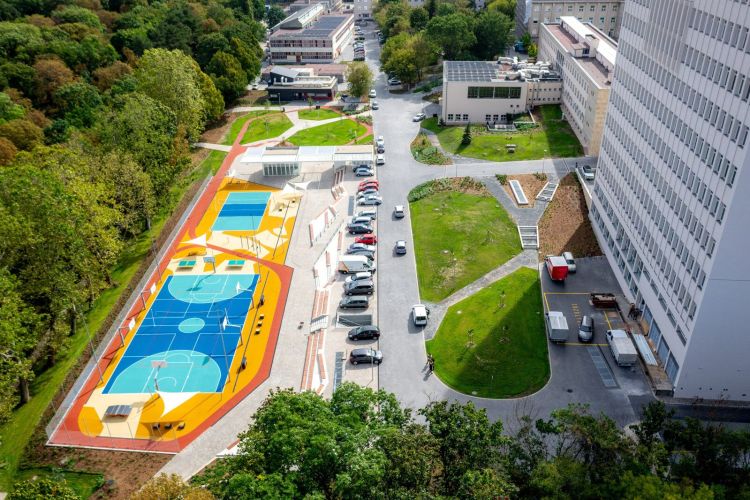 Egyetemi Rekortán Sportpályák