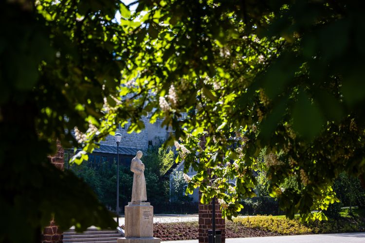 Laczkó Dezső Múzeum