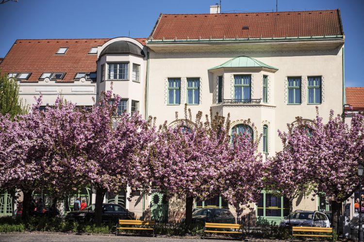 Óváros tér / Rákóczi utca