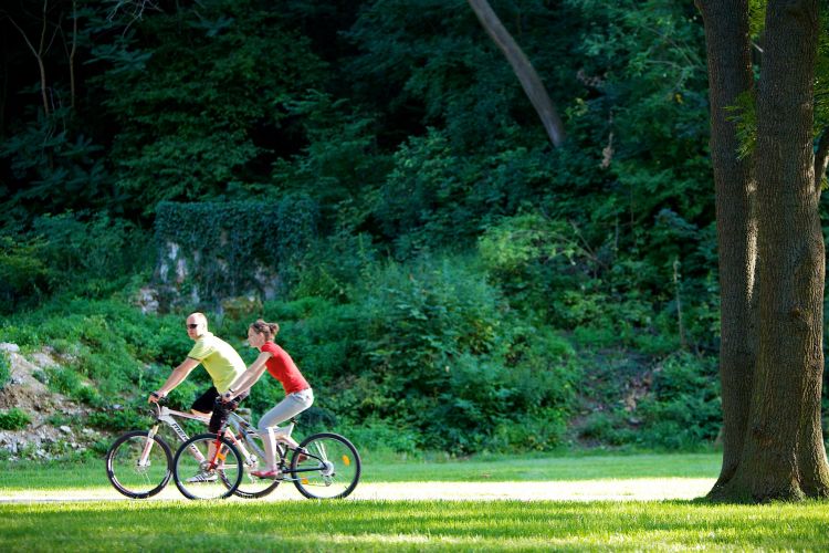 Kerékpárút / Nordic walking