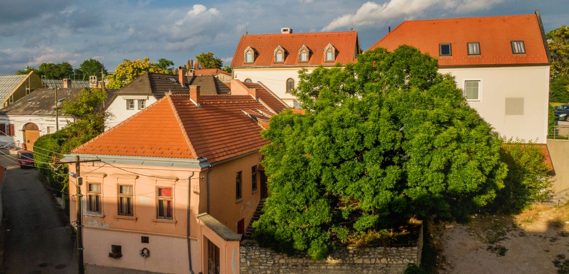 The Birthplace of Violinist Lipót Auer