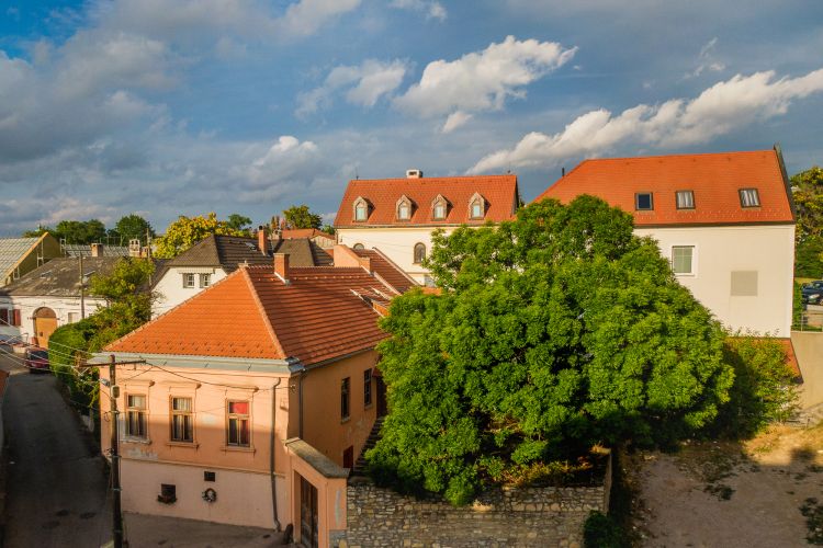 Auer Lipót hegedűművész szülőháza