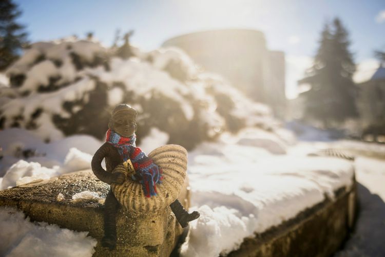 Mihály Kolodko: Ödön, der Straßenmusiker